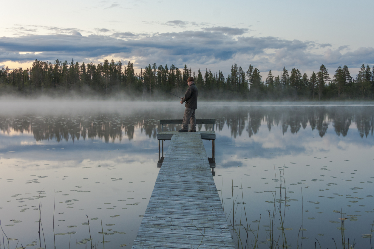 Sveriges landskapsfiskar – från Medelpad till Östergötland