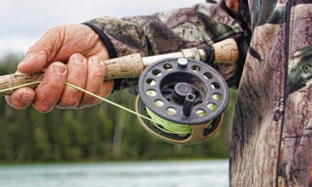 På vilka sätt kan man tjäna pengar på fiske?