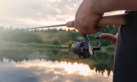 Sommarvärmen påverkar fiskarna!