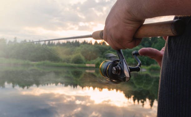 Sommarvärmen påverkar fiskarna!