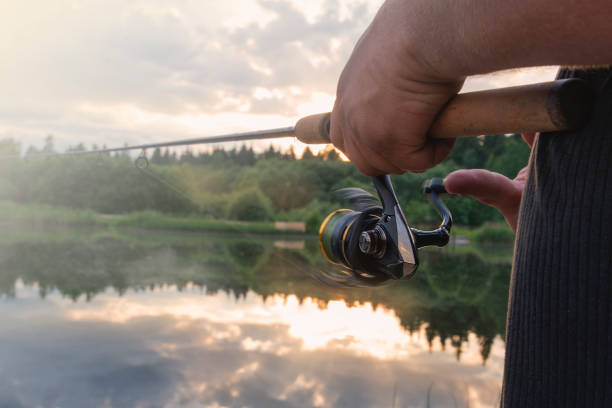 Sommarvärmen påverkar fiskarna!