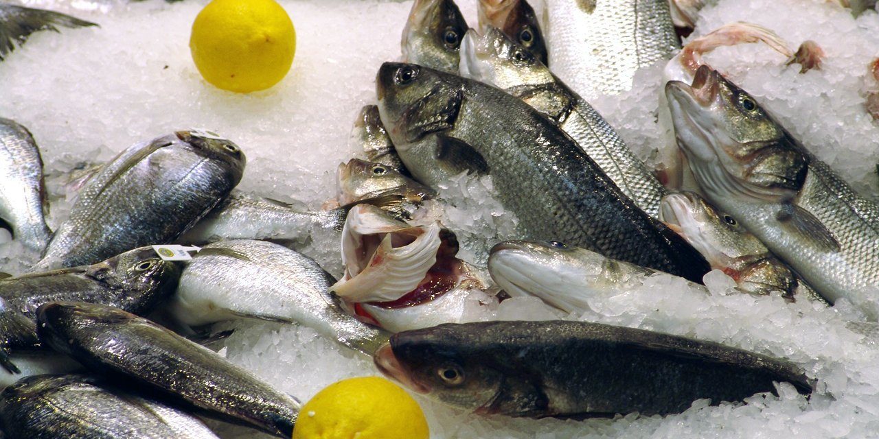 Hur man hittar bra och billig fiskeutrustning