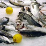 Hur man hittar bra och billig fiskeutrustning