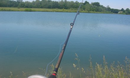 Fiskesemester utomlands
