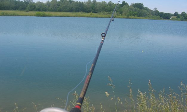 Fiskesemester utomlands