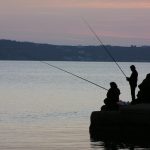 Fiske och skador