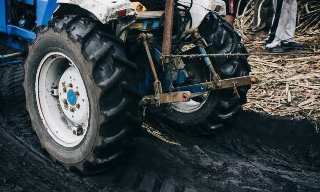 För lantbrukaren och skogsbrukaren