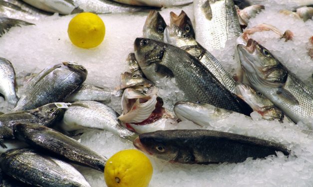 Hur man hittar bra och billig fiskeutrustning