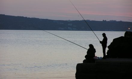 Sveriges bästa fiskevatten
